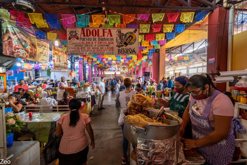 ZEO2316-19-min-1024x683